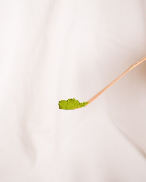 Chashaku – Cuchara de Bambú para Matcha